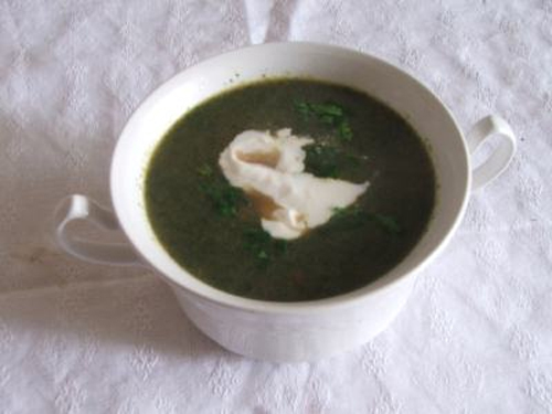 supa crema de urzici